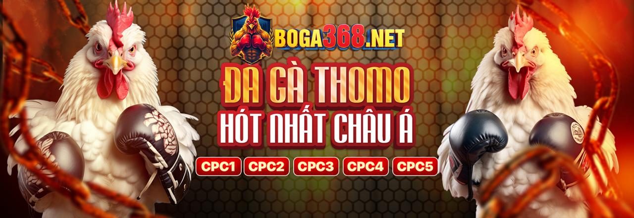 Hoàn trả cược thua đá gà hàng ngày