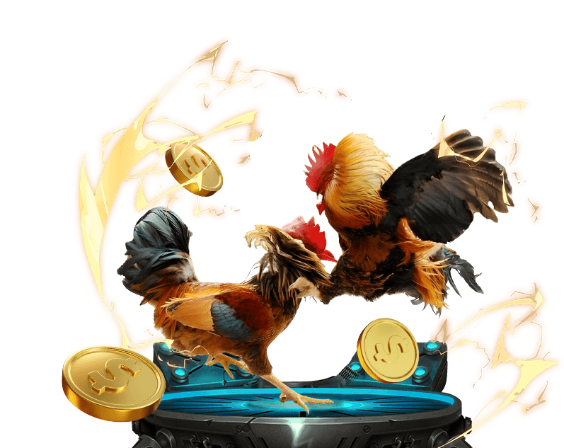 Đa dạng các môn thể thao và tỷ lệ kèo f16878 vip